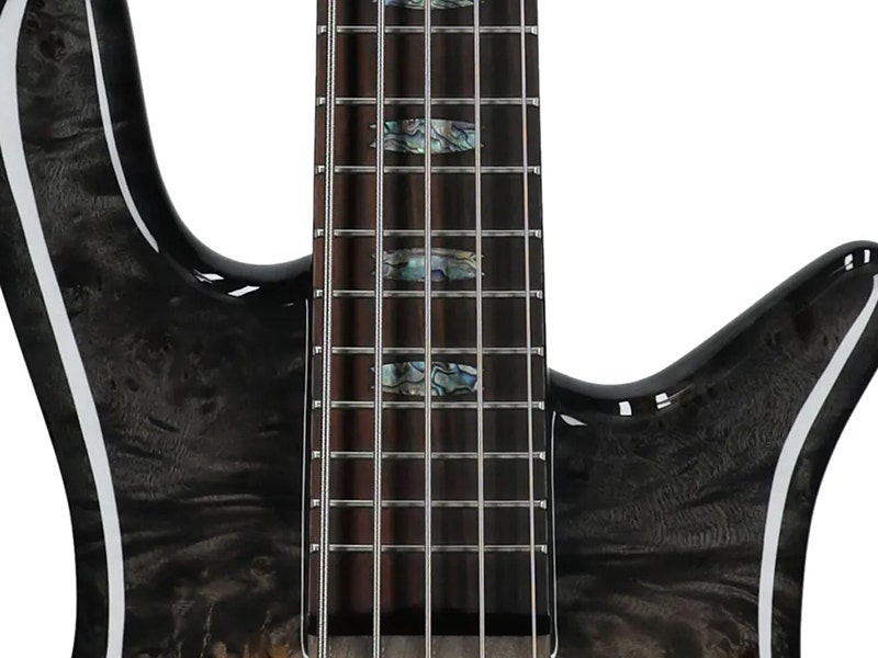 Spector Euro 5 Custom Craftsmanship That Takes Its Job Seriously