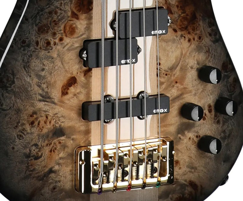 Spector Euro 5 Custom Electronics That Define the Spector Sound