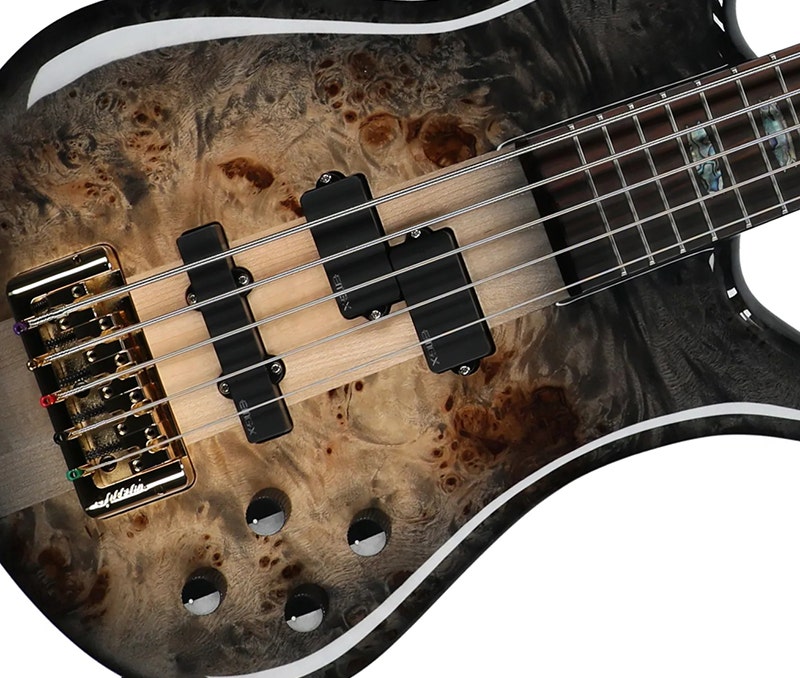 Spector Euro 5 Custom Tonewoods That Look as Good as They Sound
