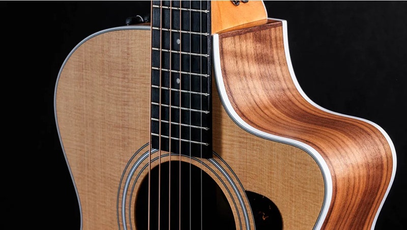 Taylor 212ce Built for the Long Haul