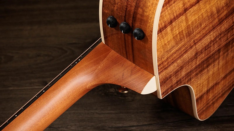 Taylor 214ce Koa Deluxe The Total Package for the Discerning Player