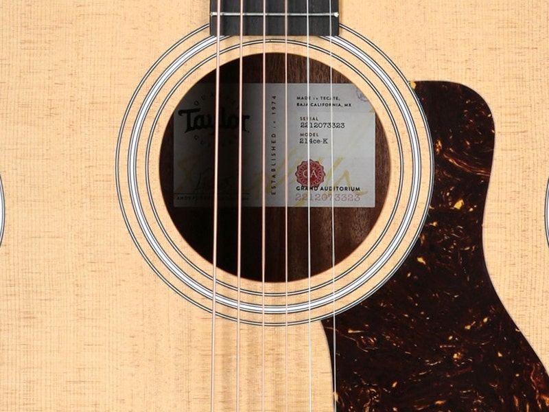 Taylor 214ce-K Ready for the Road and Recording