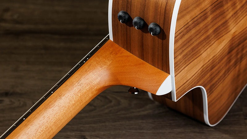 Taylor 214ce-N Amplified with Transparency