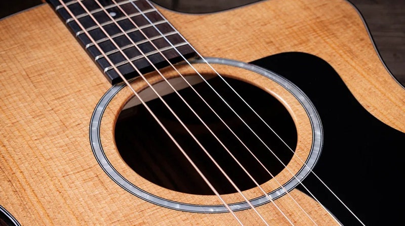 Taylor 214ce Plus A Voice with Vintage Character
