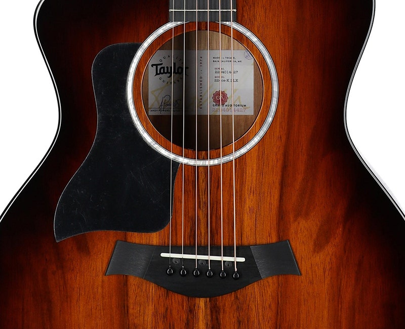 Taylor 224ce-K DLX A Tonal and Visual Masterpiece