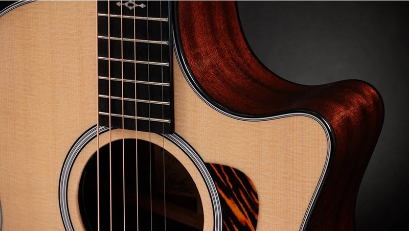 Taylor 314ce Your Acoustic, Your Rules