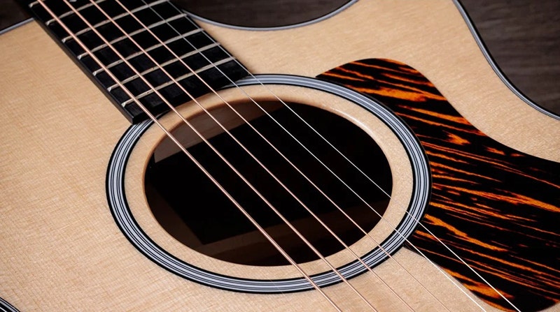 Taylor 314ce Amplify Your Acoustic Soul