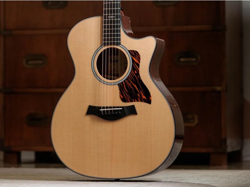 Taylor 314ce Bold, Brawny and Braced for Beauty