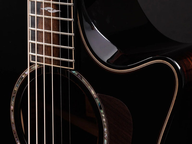 Taylor Builder’s Edition 814ce Elegant Aesthetics and Professional Connectivity