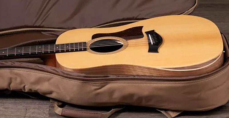 Taylor Academy 10e Your Acoustic Workhorse