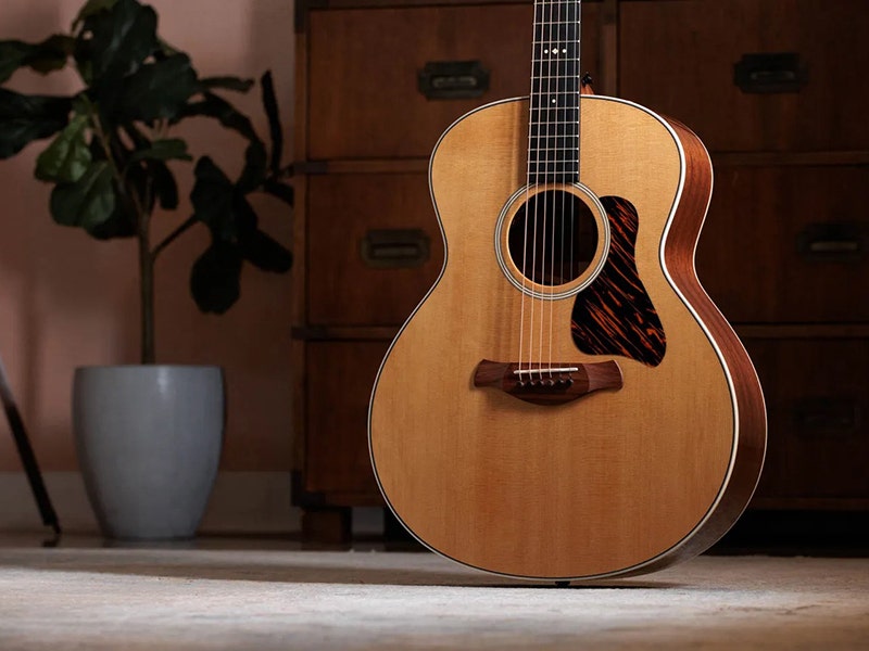 Taylor Gold Label 514e The Super Auditorium Body