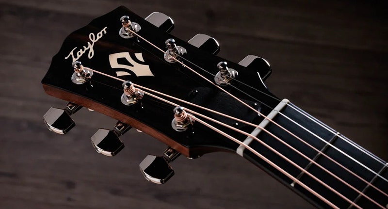 Taylor Gold Label 514e A Worthy Addition to Any Collection