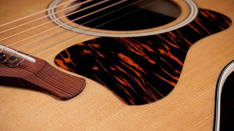 Taylor Gold Label 717e Design Excellence Meets Modern Innovation