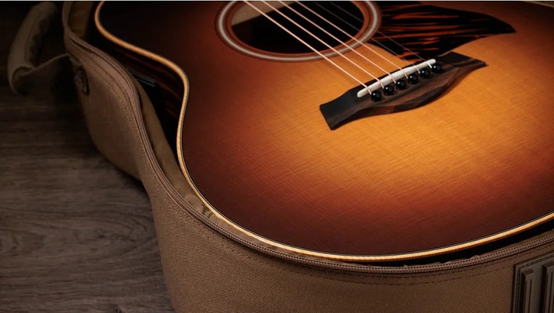 Taylor GS Mini-e Rosewood Dressed to Impress and Built to Travel