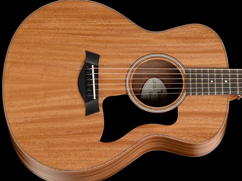 Taylor GS Mini Mahogany Big Voice, Small Package