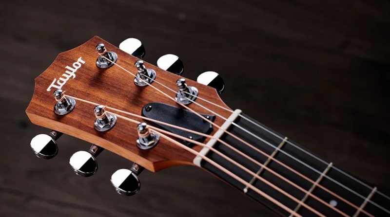 Taylor GS Mini Sapele Built for Life On and Off the Road