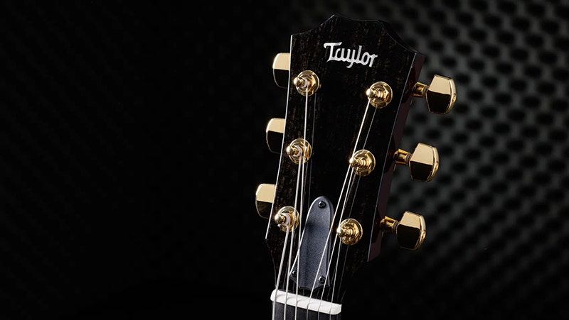 Taylor T5z Custom Koa Delivers Where It Counts