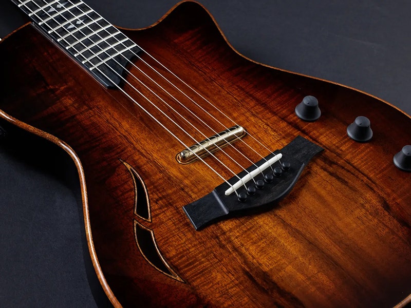 Taylor T5z Custom Koa Three Pickups for Tons of Flavors