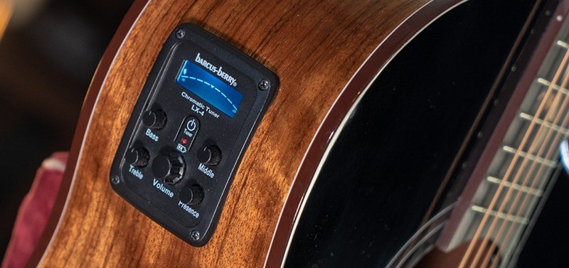 Washburn Bella Tono Vite S9V Your Next Musical Partner