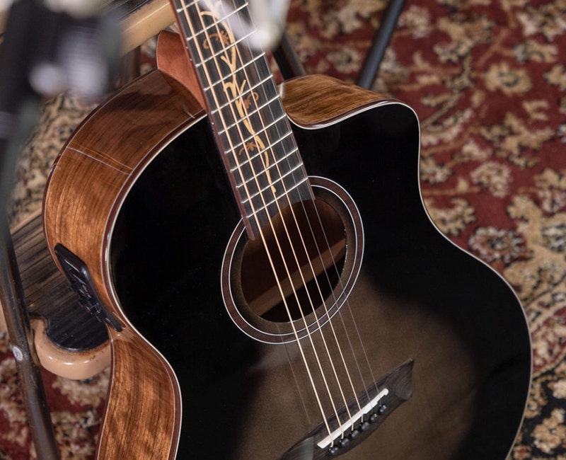 Washburn Bella Tono Vite S9V Playability That Inspires Confidence