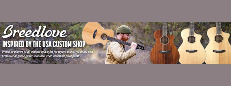 Breedlove International Guitars