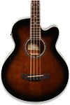Acoustic Bass Guitars