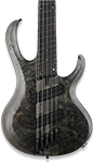 Electric Bass Guitars