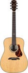 Alvarez Dreadnought Acoustic Guitars