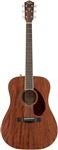 Fender Acoustic Guitars