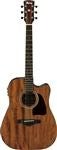 Ibanez Acoustic Electric Guitars