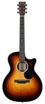 Martin Acoustic Electric Guitars