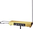Moog Music Theremins