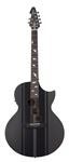 Schecter Acoustic Guitars