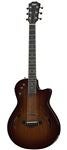 Taylor T5 & T5z Electrics