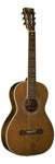 Washburn Acoustic Guitars