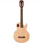 Washburn Acoustic Electric Guitars