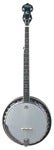 Washburn Bluegrass