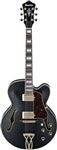 Hollowbody Guitars