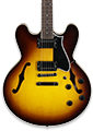 Semi-Hollowbody Guitars