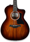 Acoustic Electric Guitars