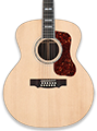 12 String Acoustic Guitars