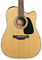 Cutaway Acoustic Guitars