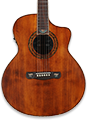 Grand Concert Acoustic Guitars