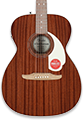 Orchestra Acoustic Guitars
