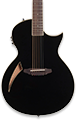 Thin Body/Thinline Acoustic Guitars