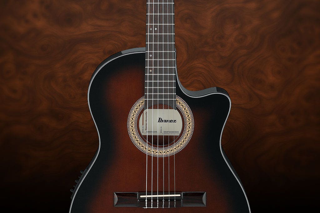 Closeup of an Ibanez thinline acoustic guitar