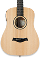 Travel Acoustic Guitars