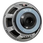 Guitar Amp Speakers