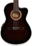 Nylon String Guitars