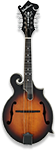 Stringed Instruments